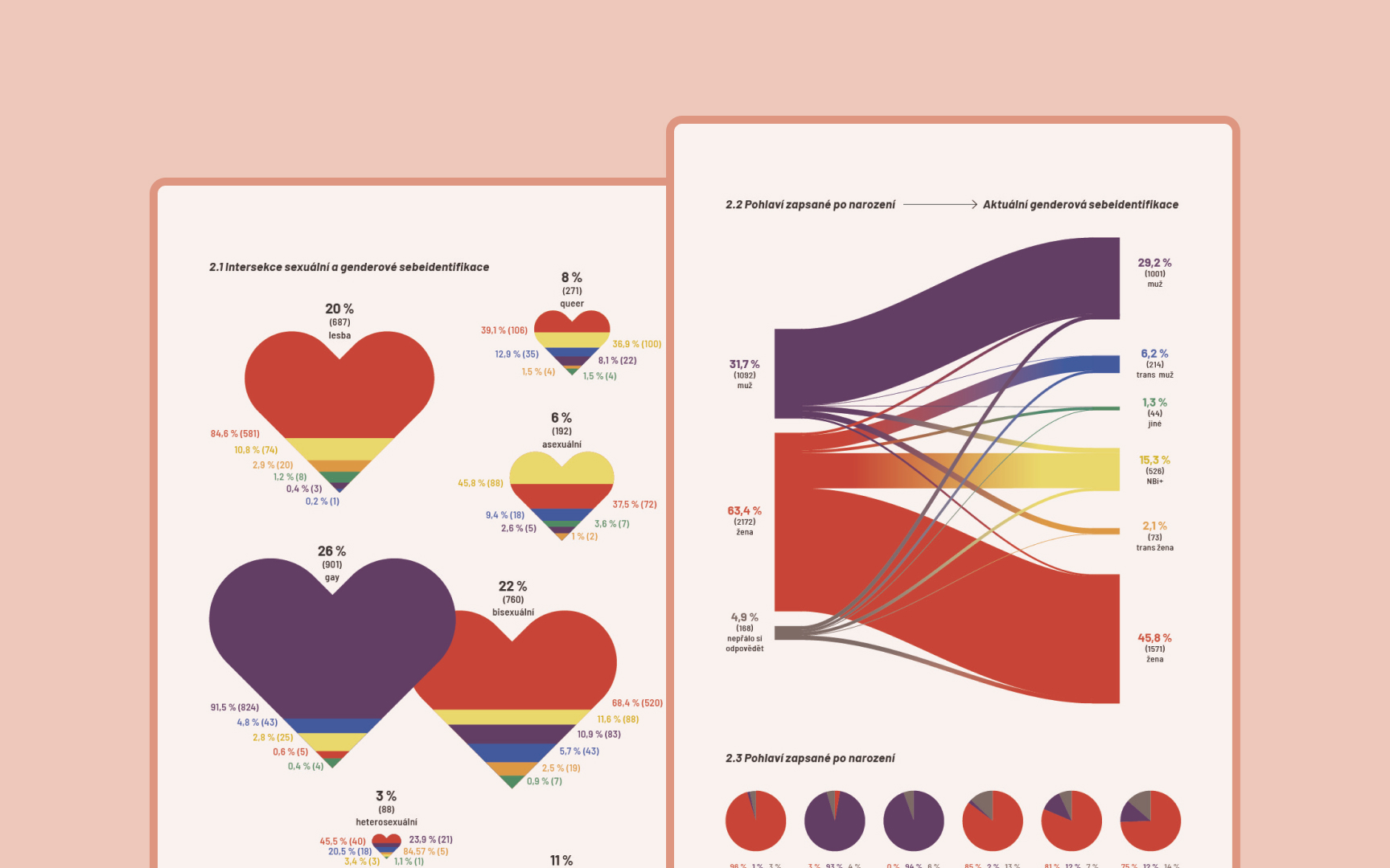 Data Visualisations showing the fluidity of gender and gender identification